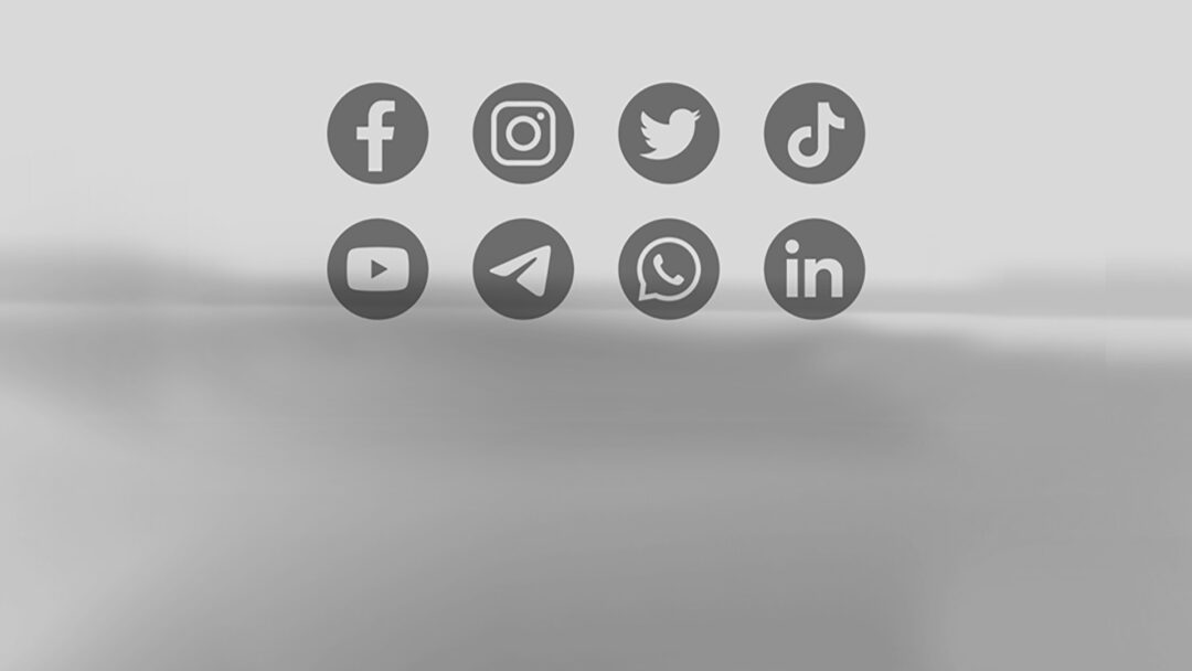 SOCIAL MEDIA WEBSITES