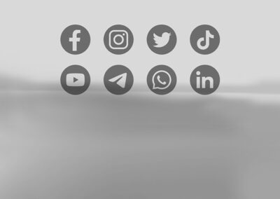SOCIAL MEDIA WEBSITES